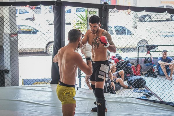 Tournois de basket : quel matériel est nécessaire ?